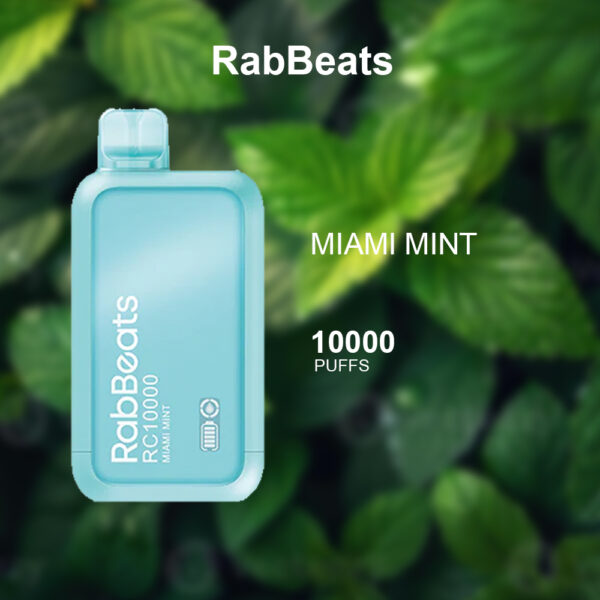 MIAMI-MINT-1 RABBEATS BAR MIAMI MINT – 10,000 PUFFS